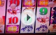 114 FREE SPINS ON BUFFALO SLOT MACHINE MAX BET 2 CENT