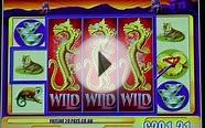 £216.21 SUPER BIG WIN (240 X STAKE) GAME OF DRAGONS II