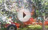 Automated Ag Bandit Xpress Machine Harvesting Apples