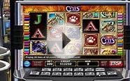 Cats Video Slots - Pokies Machine IGT - Free Feature