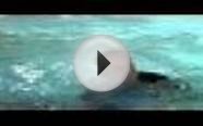 CSI Las Vegas Season 11 Episode 2 : Pool Shark