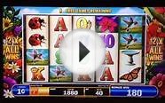 Hummingbird Honey slot machine Bonus Games -8+5 free spins