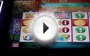 Jaguar Mist Free Spins Slot Bonus Round 3 - Buffalo Clone