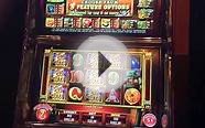 LIVE PLAY Panda King High limit slot machine w bonus