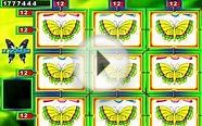 Online Multi Butterflies Video Slot Game for Internet