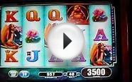 Princess Sakura Free Spins Slot Bonus Round Win