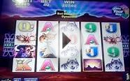 slot machine bonus bufalos small bet big win