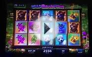 Wild Bear Paws Slot Machine FREE SPIN BONUS GAMES