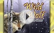 Wild Wolf Slots - Free Spins with Wild Wolf Video Slots.mp4