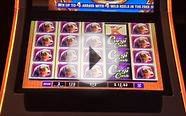 WMS - Corgi Cash - Slot Win - Slot Machine Bonus