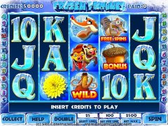 Video Slots Game